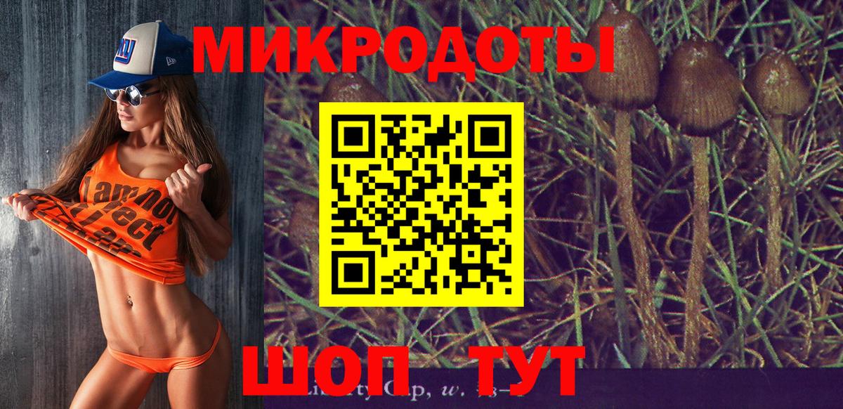 Галлюциногенные грибы Psilocybe  Галлюциногенные грибы ЛСД  Вход с VPN  Усть-Илимск 