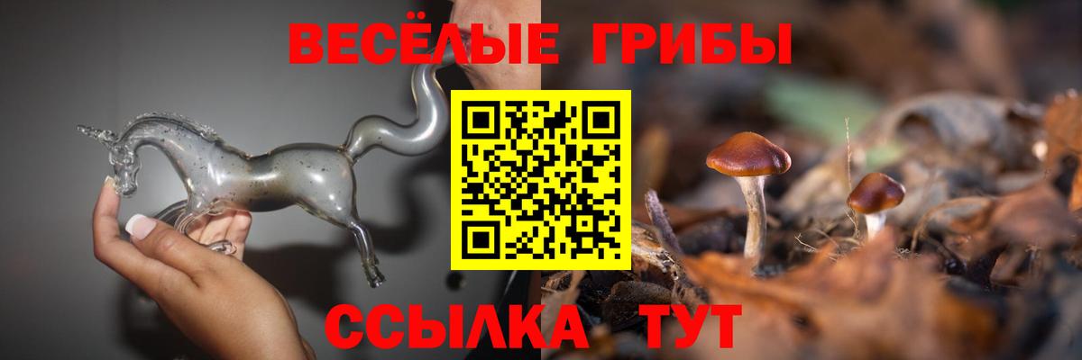 Галлюциногенные грибы Psilocybe Усть-Илимск